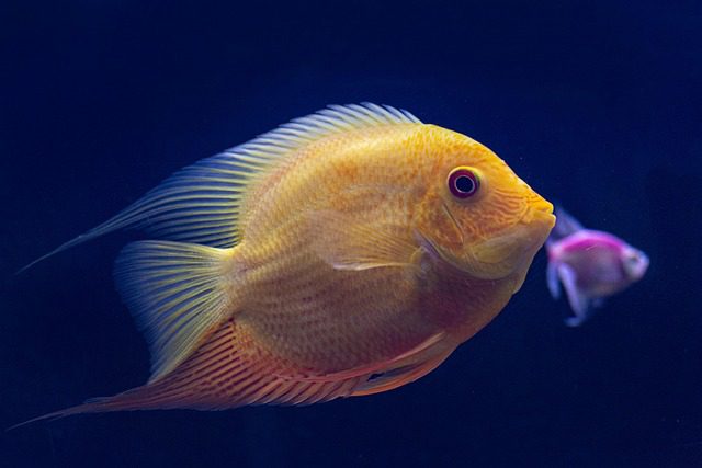 증여세 신고기한 놓쳤을 때 가산세 부과와 대처 방법 완벽 정리 관련 이미지 3
