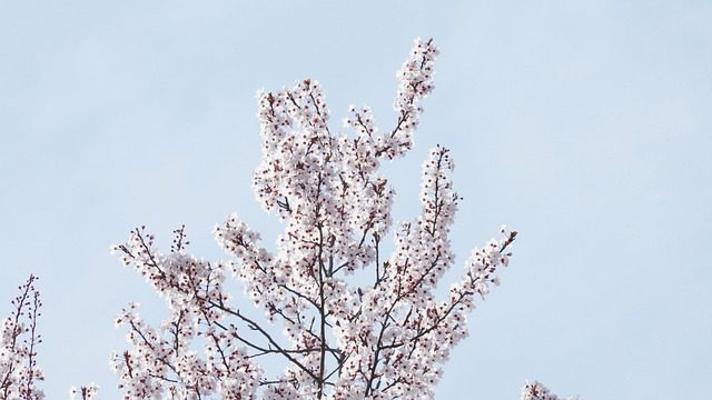 모두의 카드 예상 환급액 쉽게 계산하는 완벽 가이드 관련 이미지 1