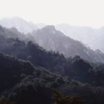 유튜브 프리미엄 우회 터키 아르헨티나 막힘