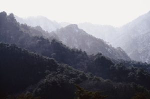 유튜브 프리미엄 우회 터키 아르헨티나 막힘