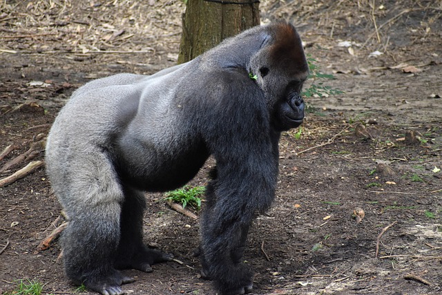 2025 세전 세후 계산기 관련 이미지 2