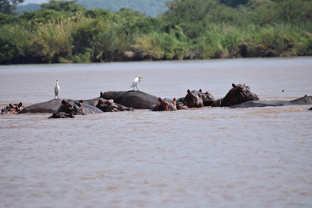 짐바브웨 달러 환율 계산기 관련 이미지 3