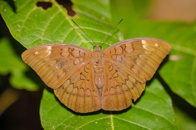 근무일수 계산 관련 이미지 3