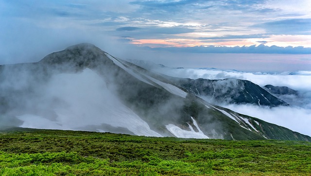 네이버 연봉 관련 이미지 1