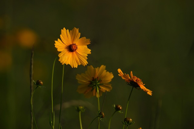 네이버 예적금계산기 관련 이미지 2