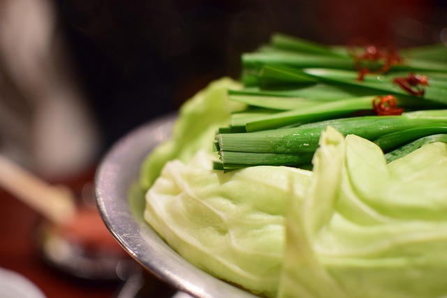 후쿠오카 마운자로 관련 이미지 3