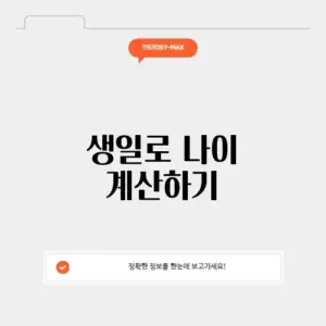 생일 나이 계산