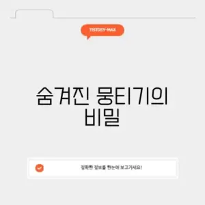 뭉티기 부위