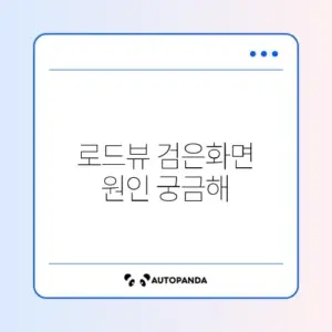 카카오맵 로드뷰 실행 안됨 검은 화면