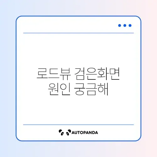 카카오맵 로드뷰 실행 안됨 검은 화면