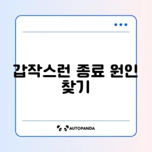 메이플스토리 런타임 에러 및 튕김