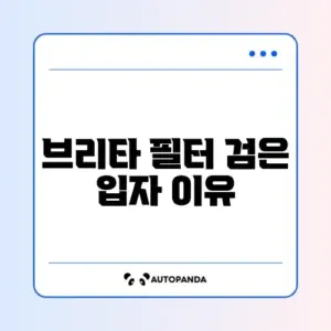 브리타 정수기 필터 검은 가루