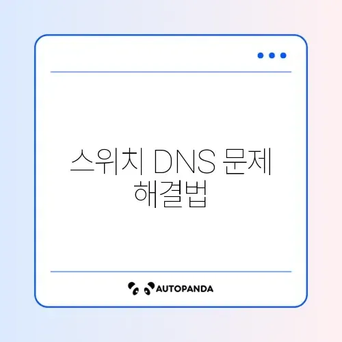 닌텐도 스위치 와이파이 연결 안됨 (DNS)