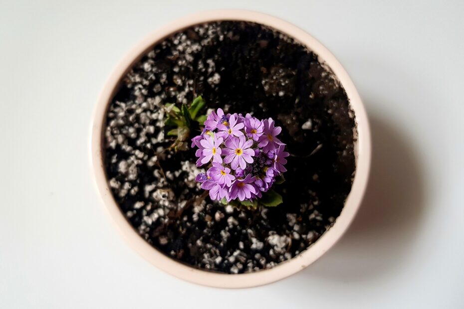 한우큰솥집 추천 메뉴 4가지 알아보자