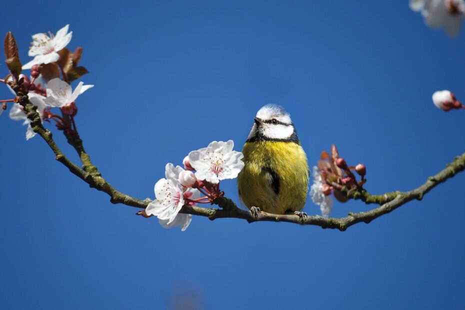 현대모비스 WPC 부품 검색하는 꿀팁