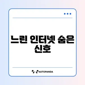 인터넷 속도 저하 초기 증상 완벽 정리 알아보기