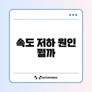 인터넷 속도 주의사항 완벽 정리 가이드