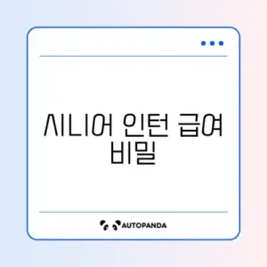 시니어 인턴십 프로그램 급여 완벽 정리 가이드