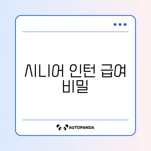 시니어 인턴십 프로그램 급여 완벽 정리 가이드