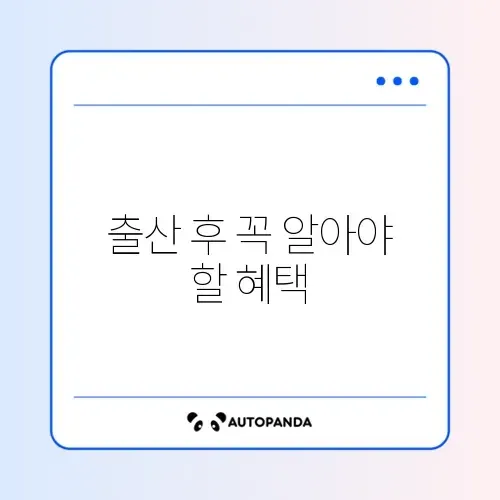 산모 신생아 건강관리 지원 사업 완벽 정리 가이드