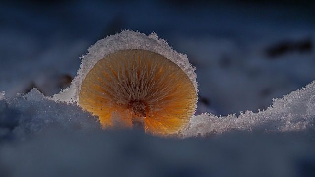 곰팡이 제거제를 선택하는 완벽 가이드 관련 이미지 2