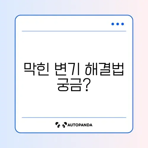 막힌 변기 뚫는 법 완벽 가이드