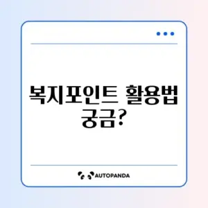 신입사원 청년 복지포인트 활용처 완벽 가이드