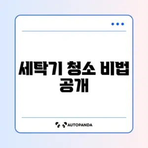 세탁기 청소하는 완벽 가이드 알아보기
