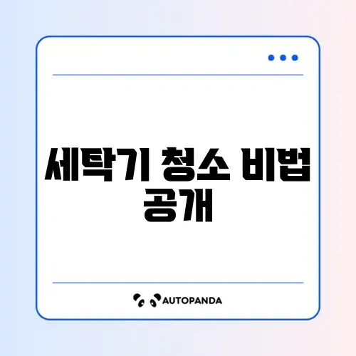 세탁기 청소하는 완벽 가이드 알아보기