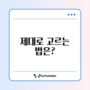 곰팡이 제거제를 선택하는 완벽 가이드