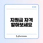 신규 창업자를 위한 청년창업지원금 자격 완벽 가이드