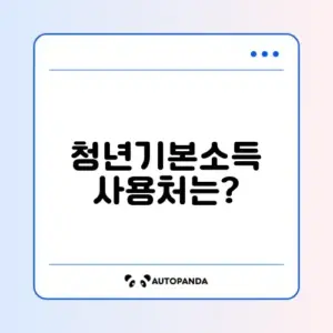 청년기본소득 지급일과 사용처 완벽 가이드 알아보기