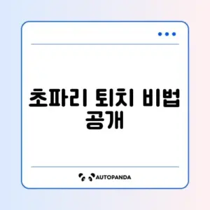 초파리 없애는 효과적인 방법 완벽 정리