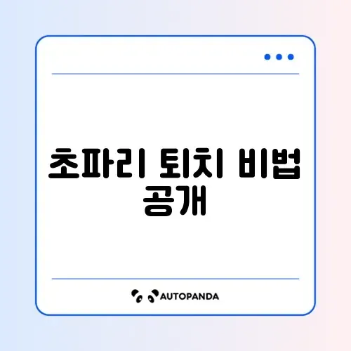초파리 없애는 효과적인 방법 완벽 정리
