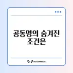 장애인 차량 공동명의 조건 완벽 정리 가이드