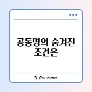 장애인 차량 공동명의 조건 완벽 정리 가이드