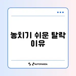 장애인연금 탈락 사유 완벽 정리하기