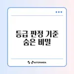 장애인 활동지원 등급 판정 기준 완벽 가이드 알아보기