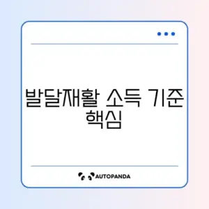발달재활서비스 소득 기준 완벽 정리 가이드